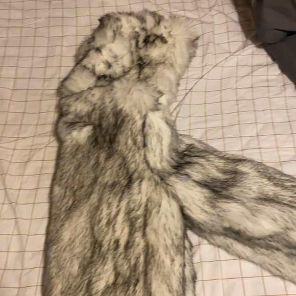 Faux fur Asos complete fur jacket - Picture 3 of 3